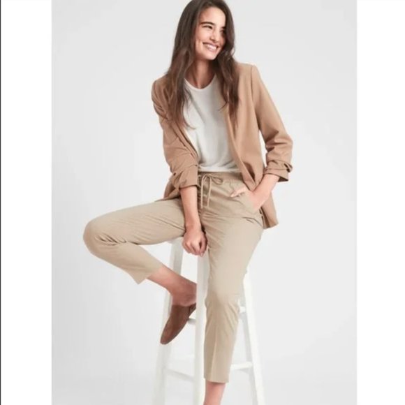 Ankle pants tan pull-on size 10 EUC Banana Republic Hayden - Picture 3 of 10